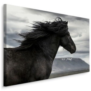 MyBestHome BOX Plátno Černý Kůň I. Varianta: 30x20