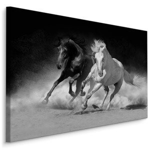 MyBestHome BOX Plátno Koně V Černé A Bílé Varianta: 120x80