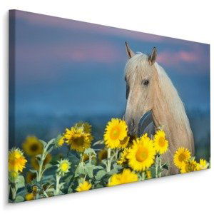 MyBestHome BOX Plátno Kůň A Slunečnice Varianta: 100x70