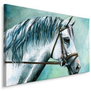 MyBestHome BOX Plátno Bílý Kůň Varianta: 120x80