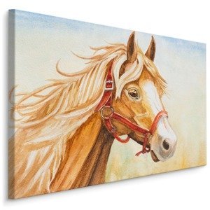 MyBestHome BOX Plátno Kůň Malovaný Akvarelem Varianta: 100x70