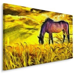 MyBestHome BOX Plátno Malovaný Kůň V Poli Varianta: 100x70
