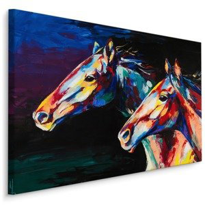 MyBestHome BOX Plátno Abstraktní Koně Varianta: 100x70