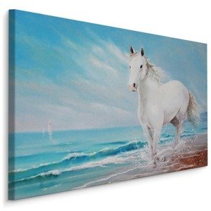 MyBestHome BOX Plátno Bílý Kůň Na Pobřeží Varianta: 120x80