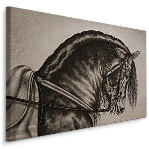 MyBestHome BOX Plátno Kůň Černý Malovaný Varianta: 100x70