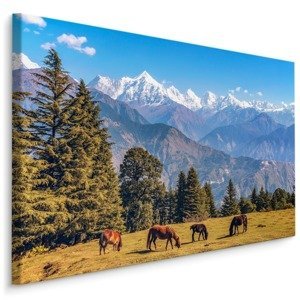 MyBestHome BOX Plátno Koně A Horská Krajina Varianta: 100x70