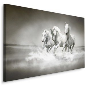 MyBestHome BOX Plátno Koně V Černé A Bílé Varianta: 100x70
