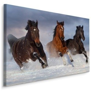 MyBestHome BOX Plátno Cválající Koně V Zimě Varianta: 100x70