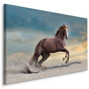 MyBestHome BOX Plátno Majestátní Kůň V Poušti Varianta: 100x70