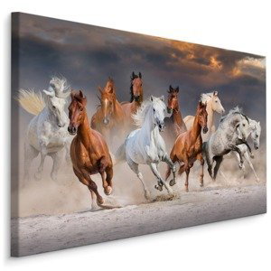 MyBestHome BOX Plátno Koně V Poušti Varianta: 120x80