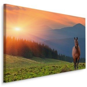 MyBestHome BOX Plátno Kůň Na Pozadí Západu Slunce Varianta: 100x70