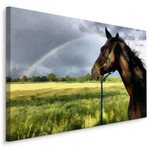 MyBestHome BOX Plátno Kůň Na Louce Varianta: 90x60