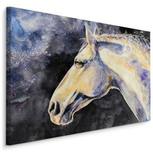 MyBestHome BOX Plátno Kůň Malovaný Akvarelem I. Varianta: 100x70