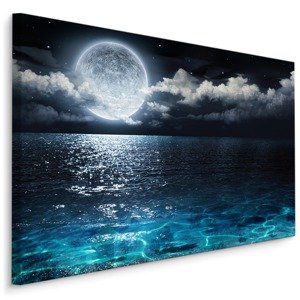 Plátno Moře V Noci S Měsícem Varianta: 70x50