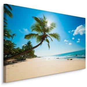 Plátno Bílá Pláž S Palmou Varianta: 30x20