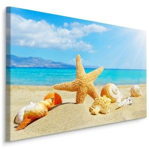Plátno Mořská Pláž A Mušle Varianta: 120x80