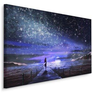Plátno Noční Moře A Hvězdy Varianta: 120x80