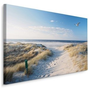 Plátno Plážová Cesta Do Moře Varianta: 100x70