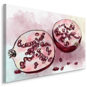 MyBestHome BOX Plátno Akvarel Granátové Jablko Varianta: 100x70