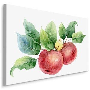 MyBestHome BOX Plátno Jablka Malovaná Akvarelem Varianta: 100x70