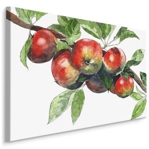 MyBestHome BOX Plátno Jablka Na Větvi Varianta: 30x20