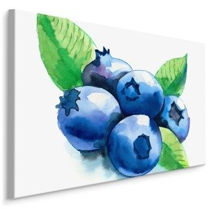 MyBestHome BOX Plátno Borůvky Malované Vodovými Barvami Varianta: 100x70