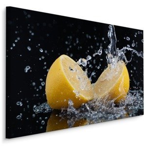 MyBestHome BOX Plátno Citronů Ve Vodě Varianta: 100x70