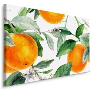 MyBestHome BOX Plátno Pomeranče Na Větvích Varianta: 120x80