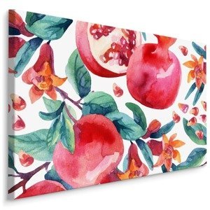 MyBestHome BOX Plátno Granátová Jablka V Akvarelu Varianta: 100x70