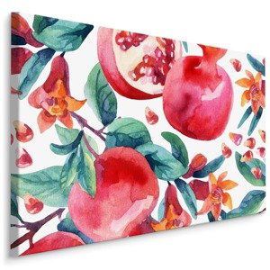 MyBestHome BOX Plátno Granátová Jablka V Akvarelu Varianta: 90x60