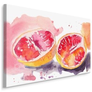 MyBestHome BOX Plátno Grapefruit Malovaný Akvarelem Varianta: 120x80
