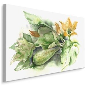 MyBestHome BOX Plátno Cuketa S Květinami Malovaná Akvarelem Varianta: 30x20