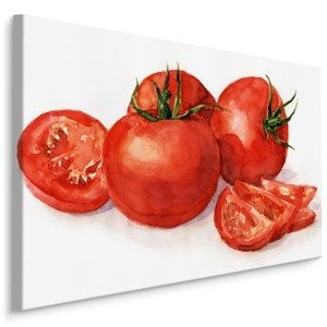 MyBestHome BOX Plátno Rajčata Malovaná Akvarelem Varianta: 100x70