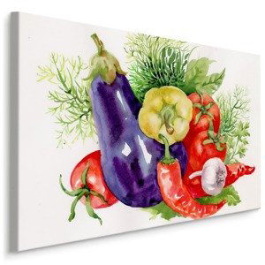 MyBestHome BOX Plátno Zelenina Malovaná Akvarelem Varianta: 70x50
