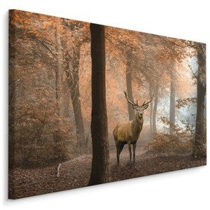 Plátno Jelen V Podzimním Lese Varianta: 100x70