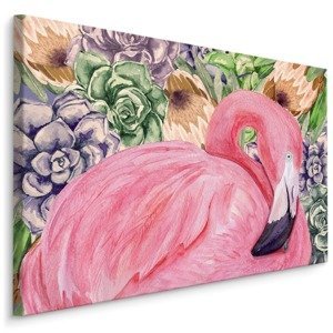 Plátno Flamingo A Květiny Varianta: 100x70