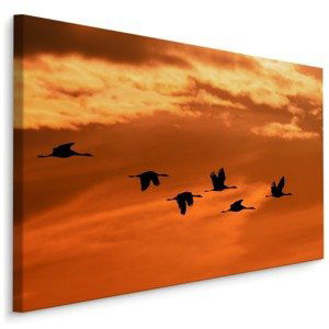 MyBestHome BOX Plátno Ptáci na obloze Varianta: 120x80