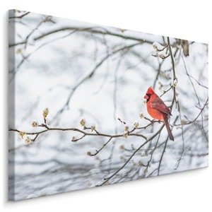 MyBestHome BOX Plátno Kardinál Červený Varianta: 100x70
