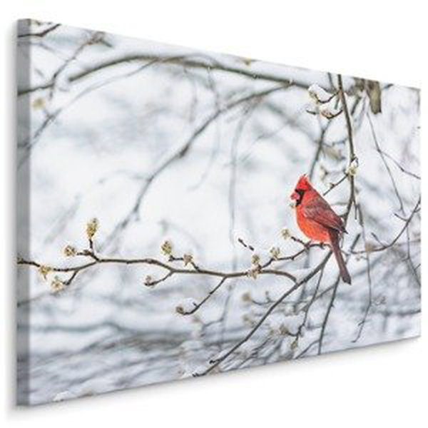 MyBestHome BOX Plátno Kardinál Červený Varianta: 120x80