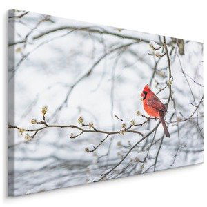 MyBestHome BOX Plátno Kardinál Červený Varianta: 70x50