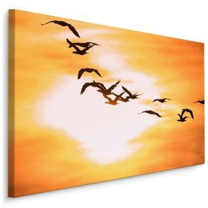 MyBestHome BOX Plátno Ptáci na obloze I. Varianta: 100x70