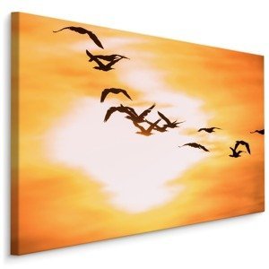MyBestHome BOX Plátno Ptáci na obloze I. Varianta: 30x20