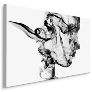 MyBestHome BOX Plátno Abstraktní Žena Z Kouře Varianta: 100x70