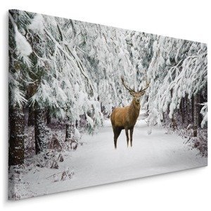 MyBestHome BOX Plátno Jelen V Zimním Lese Varianta: 90x60