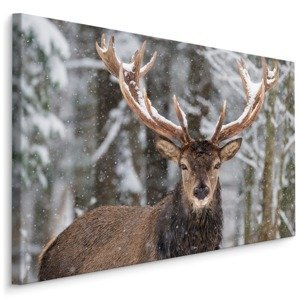 MyBestHome BOX Plátno Jelen V Zimním Lese Varianta: 100x70