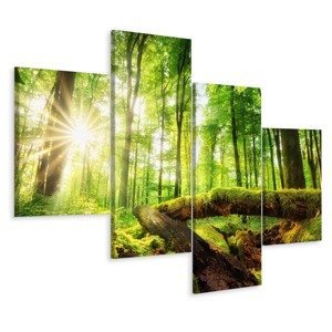Vícedílné plátno Sluneční Paprsky V Lese 3D Varianta: 75x120