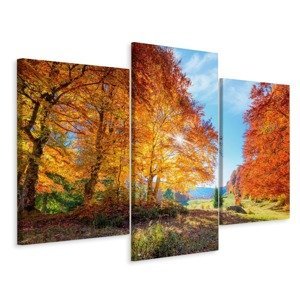 Vícedílné plátno Barevné Podzimní Stromy Varianta: 100x150