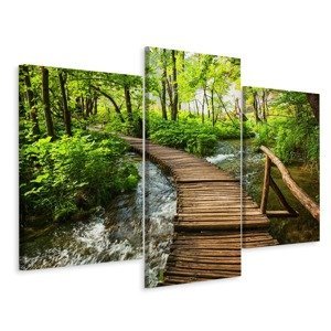 Vícedílné plátno Dřevěný Most V Lese Varianta: 100x150