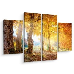 Vícedílné plátno Slunečný Podzimní Les Varianta: 90x120