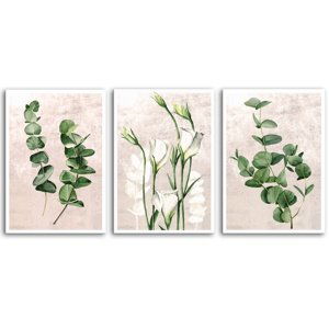 Obraz na plátně PLANTS II. set 3 kusy 50x70 cm Ludesign